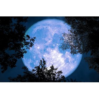 Buy Full Moon Back Leaves Quotes Premium Poster For Love Ones Romantic Posters No Need Tape Size 12x18 Inch Online Get 75 Off