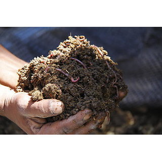 Vermi Compost - 250gm Best Quality Vermicompost.