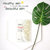 PLAN 36.5 PLANT CELL PEARL FACE MASK- 05 SHEETS