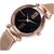 HRV New Fashion 2020 Round Black Dial Metal Rose Gold Strap Watch For Women
