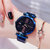 HRV Ladies Starry Sky star Magnet Buckle Mesh Belt Watches Casual Quartz Watch For For Women