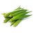 Seed - Okra,Lady's Finger F1 Hybrid Vegetable For Terrace And Kitchen Gardening (Pack Of 50 Seeds )+ LOWEST PRICE!.