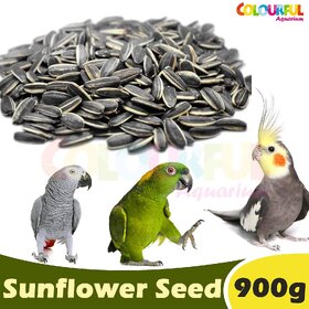 COLOURFUL AQUARIUM - Natural  Healthy Sunflower Seeds  Daily Birds Food (Sunflower Seed, 900g)