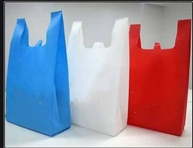 Style UR Home - Non woven Carry Bag, Shopping Bag, Reusable Bag,Grocery Bag (20 X 26) - Pack of 50
