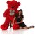 Riyasharma Gift red Teddy Bear 3 Feet Huggable ,Big very soft and sweet, anniversary for pleasant Gift, hug able