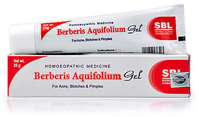 SBL Berberis Aquifolium Gel (25g) Pack of 10