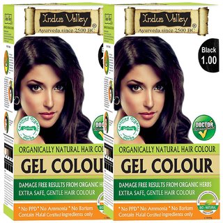 Indus Valley Bio Organic Natural Gel Black 1.00 Hair Color One Touch Pack Pack of 2 Each Pack 35 G