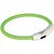 Trixie Glow Collars Dog Safety Ring with USB (Green) (XS-S)