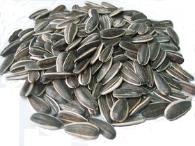 Bird Food - Sun Flower seeds Big Size Stripped Imported - FRESH  NATURAL - Good for Macaw Grey Parrot Cockatoo-1kg