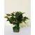 Cherry World Artificial Plant Green Leaves Arrangement with Fiber Pot for Decoration in Office, House, Hotel and for Gif