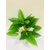 Cherry World Artificial Plant Green Leaves Arrangement with Fiber Pot for Decoration in Office, House, Hotel and for Gif