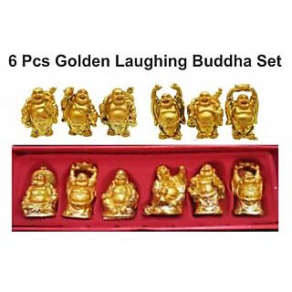                       Feng Shui Golden Laughing Buddha for Happiness and Wealth Set of 6 Pcs                                              