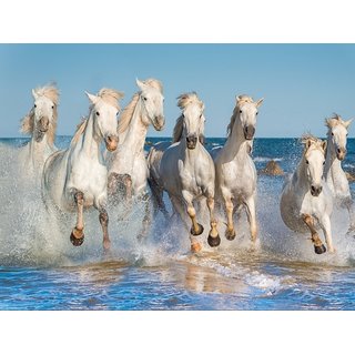 Style UR Home - White Seven Horses running on Water - 12 x 18
