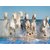 Style UR Home - White Seven Horses running on Water - 18 x 24