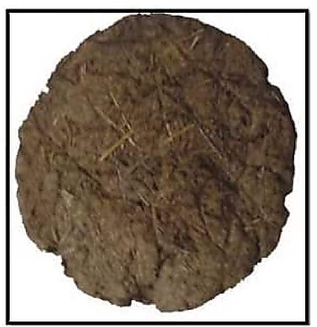 Image of Cow Dung Cakes or gobar upla .-PP829245-Picxy