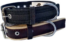 faux leather Dog Collar  adjustable Neck 9 to 12 inch Belt For Xtra Small Dogs Black and Brown combo pack of 2