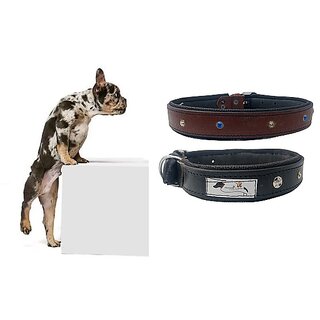                       faux leather Dog Collar  adjustable Neck 15 to 18 inch Belt For Medium Dogs Brown and Tan combo pack of 2                                              