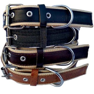                       faux leather Dog Collar  adjustable Neck 12 to 15 inch Belt For Small Dogs Black and Tan and Tan combo pack of 4                                              
