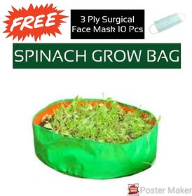Grow Bag Pack Of 5 Pcs With Free 3ply Mask 10pcs