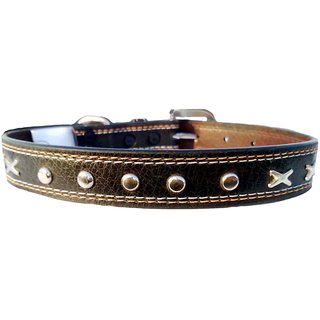                       Forever99 Pet Shop Leather Dog Collar Neck Belt for Medium Dogs (Tan)                                              