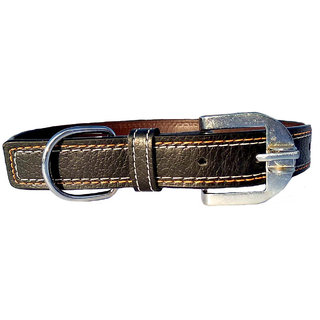                       Forever99 Pet Shop Leather Dog Collar Neck Belt for Medium Dogs (Black)                                              