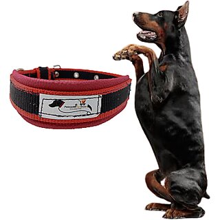                       Forever99 Pet Shop Fabric Dog Collar Neck Belt for extra Large Dogs (Black)                                              