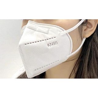 NH 95  Anti Pollution Face Mask