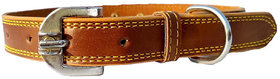 Fits Dog Neck Size Extra Large -22 TO 26 Inches for Adjustable Dog belt for Big Dog collar