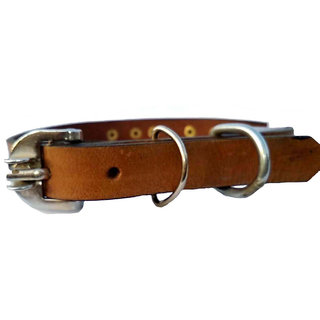                       Fits Dog Neck Size Medium -16 TO 19 Inches for Adjustable Dog belt for Dog collar                                              