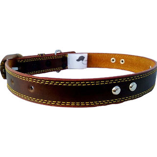                       Fits Dog Neck Size Small -12 TO 16 Inches for Adjustable Dog belt for Puppy Dog collar                                              