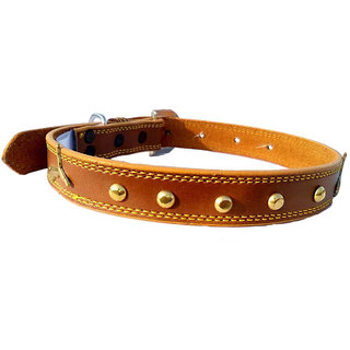                       Fits Dog Neck Size Large -19 TO 22 Inches for Adjustable Dog belt for Dog collar                                              