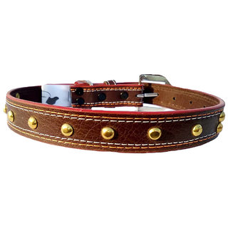                       Fits Dog Neck Size Small -12 TO 16 Inches for Adjustable Dog belt for Puppy Dog collar                                              