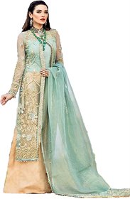Aliya Fashion Mart Women Designer Pakistani Net Dress Material Distemper Color