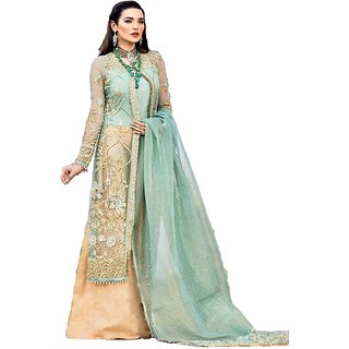 Aliya Fashion Mart Women Designer Pakistani Net Dress Material Distemper Color