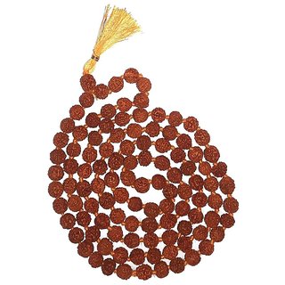 Rudraksha 5 Mukhi with Kanti Mala (10 mm)