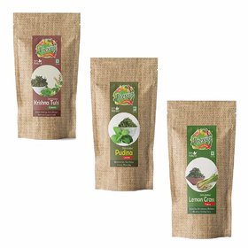 Pressia Pudina leaves 50g, Tulsi Leave Powder 50g, Lemon Grass Flakes  50g Pack of 3