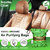 Vaayu Organic Air Purifying Bag 80g Green Color Car Air Purifier Air Freshener