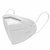 KN95 Antipollution Facemask For Men Women - Pack Of 10