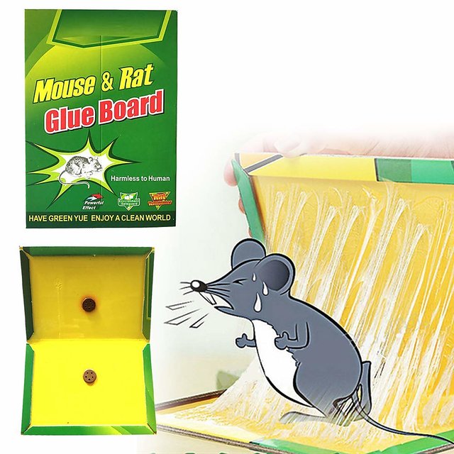 Buy Mouse Glue Pad Insect Rodent Lizard Trap Rat Catcher Adhesive