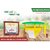 Funnel Pheromone trap with FAW Pheromone Lure (Spodoptera frugiperda) for Fall armyworm Pheromone Trap pack of 10