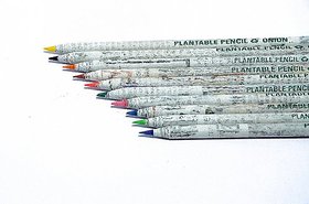 IRI Newspaper Colour Lead Seed Pencils