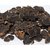 Urancia Farm Fresh Kali Haldi Black Turmeric For Plantation 7Pcs Recent Harvest