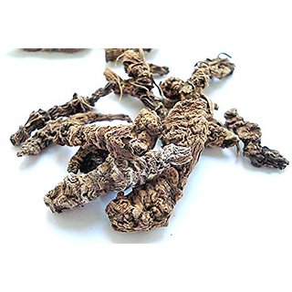 Urancia Sugandh Bala Valerian Tagar Valeriana brunoniana 100gm Urancia Sugandh Bala Valerian Tagar Valeriana brunoniana 100gm