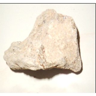 Urancia Natural Safed Damar Rala Indian Copal Tree Shorea Robusta 250gm Urancia Natural Safed Damar Rala Indian Copal Tree Shorea Robusta 250gm