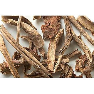 Urancia Brahmadandi smooth tricholepis Tricholepis glaberrima 150g Urancia Brahmadandi smooth tricholepis Tricholepis glaberrima 150g