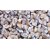 Urancia Vidhara Seeds Argyreia Speciosa Sweet Vruddhadaru 150g for Plantation
