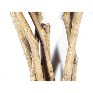                       Urancia Palas Ki Lakdi Butea monosperma Palash wood 5Pcs                                              
