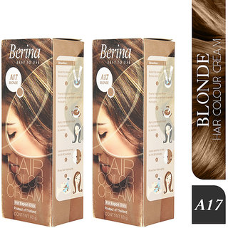 Buy Berina A17 Blonde Hair Color Cream 60gm Pack of 2 Online @ ₹459 from  ShopClues