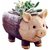 SpaceinCart Animal Resin Baby Pig Wood Design Succulent/Cactus Plant Flower Pot Household Home  Garden Decor Wooden Flo