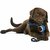 REGAL 2 Balls and 4 Knots Rope Toys for Medium/Large Dogs 1 PC